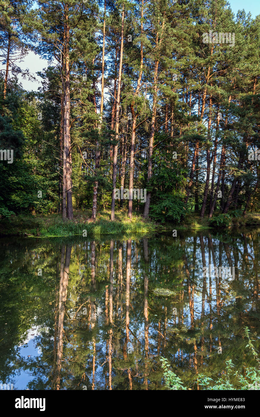 Grande Canale del fiume Brda vicino villaggio Rytel nel voivodato di Pomerania in Polonia Foto Stock