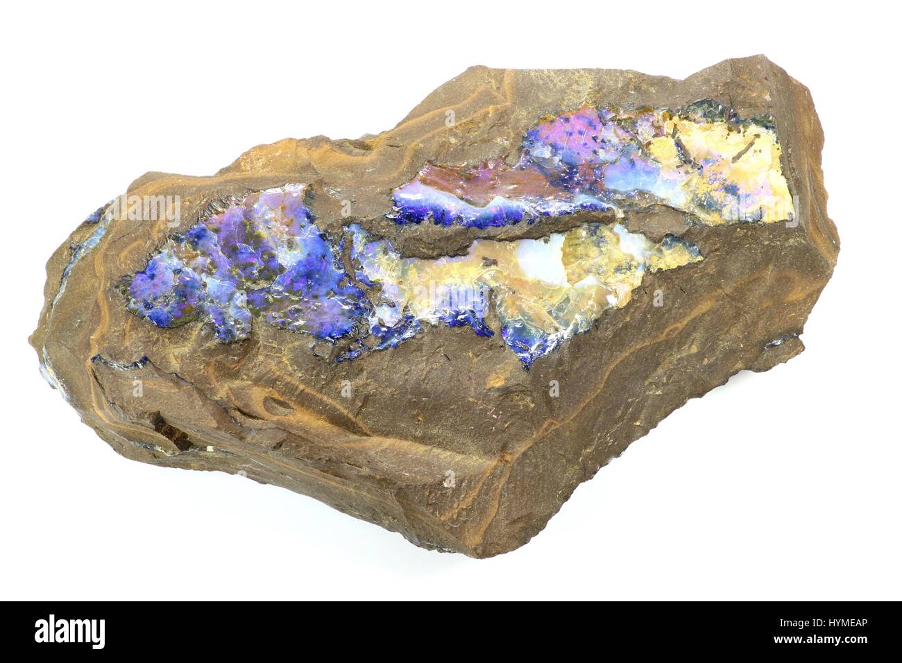 Boulder opal trovati nel Queensland/ Australia isolato su sfondo bianco Foto Stock