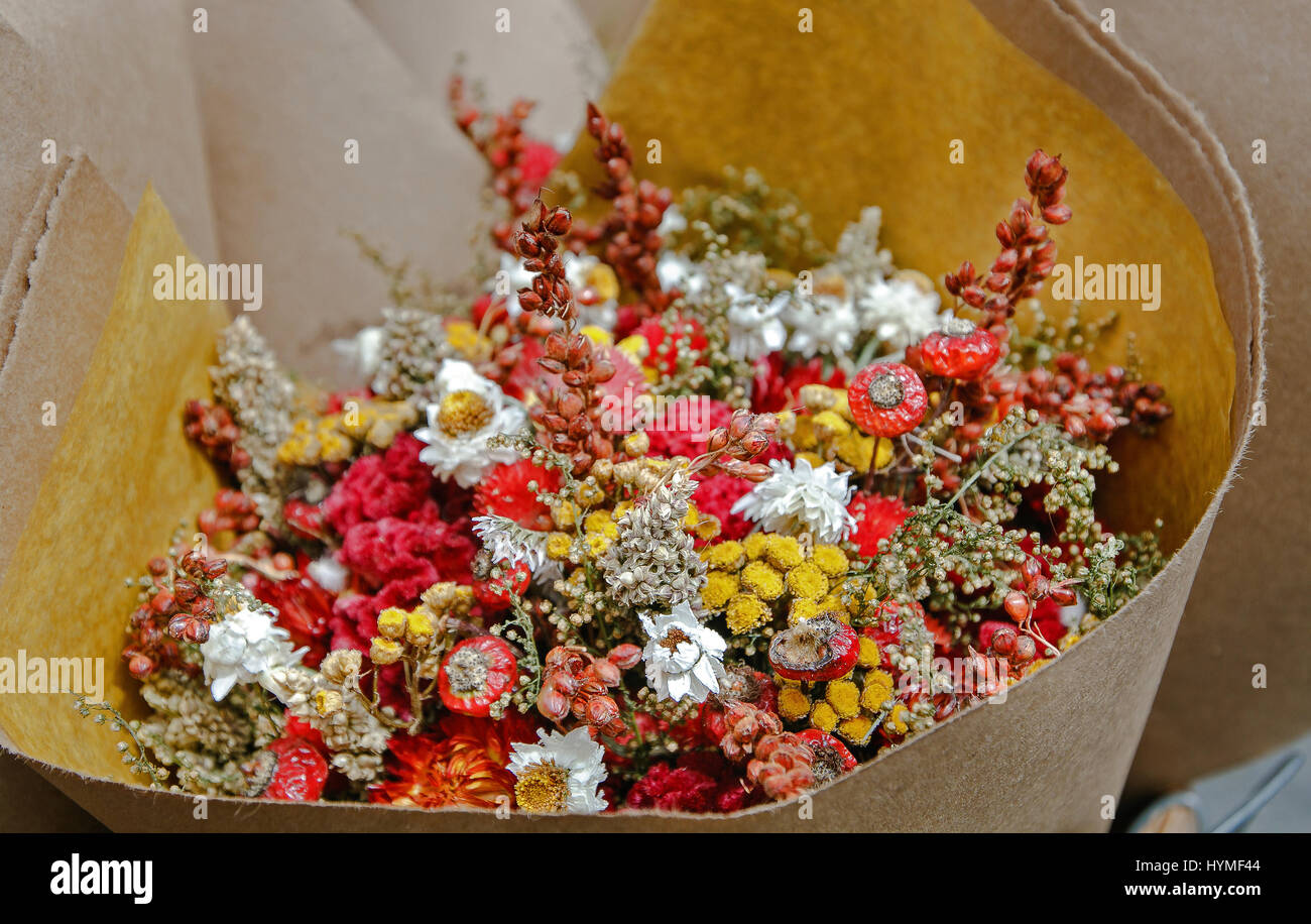 Bouquet di fiori secchi. Foto Stock