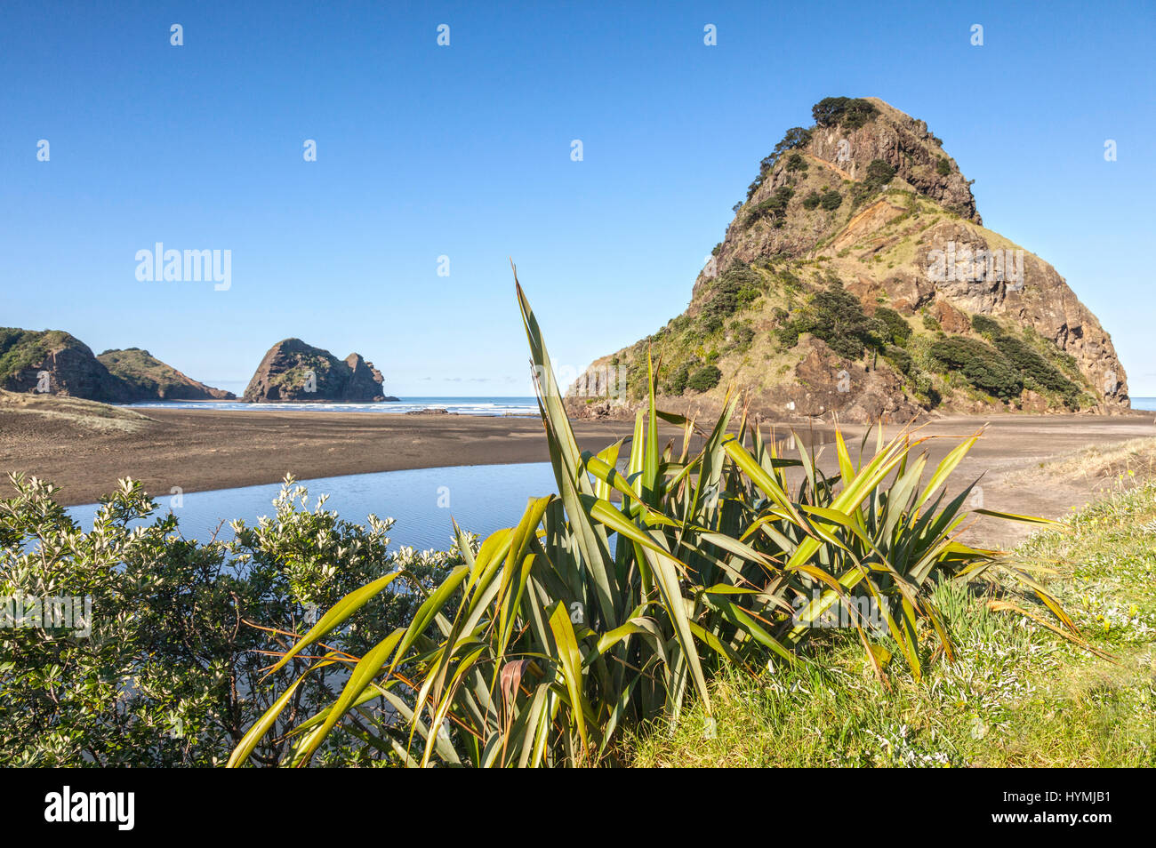 Piha Beach, a Auckland, la Costa Ovest, e Lion Rock. Foto Stock