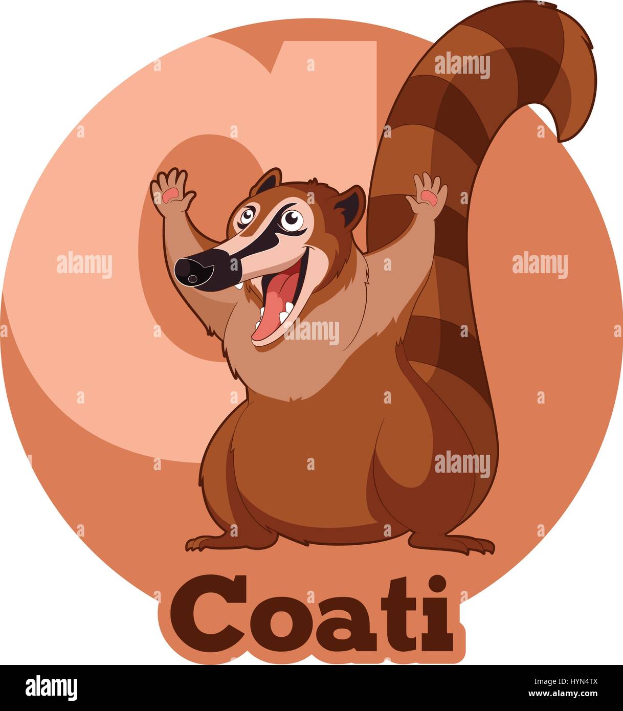 ABC Cartoon Coati Illustrazione Vettoriale