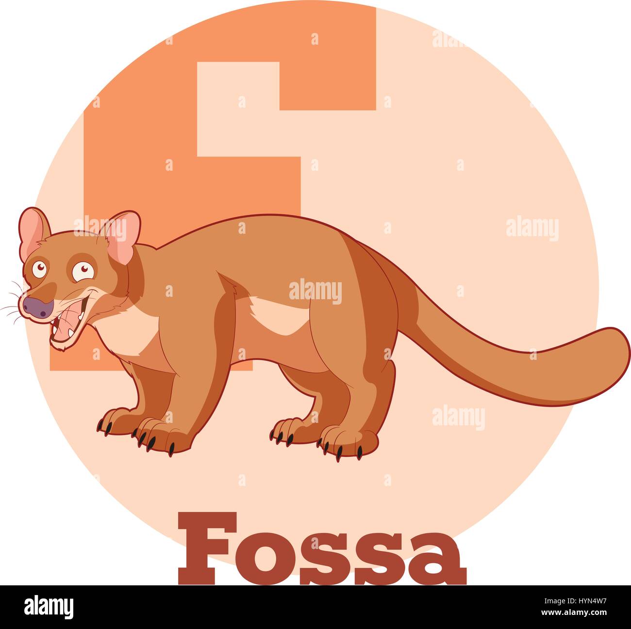 ABC Cartoon Fossa Illustrazione Vettoriale