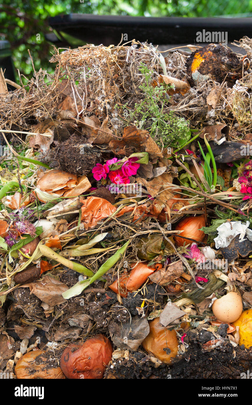 Un assortimento di cucina e il giardino i rifiuti organici che mostra in un aperto compost silo Foto Stock
