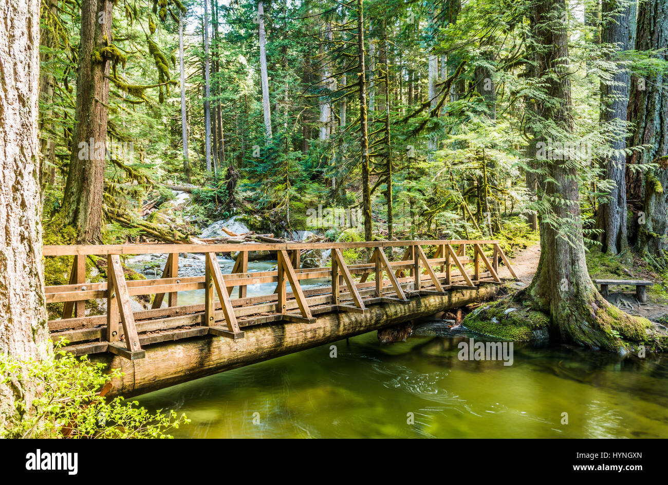Passerella di legno attraversa il piccolo ruscello a Deception Falls in Mount Baker Snoqualmie National Forest che dà una sensazione di perfetta armonia con la natura Foto Stock