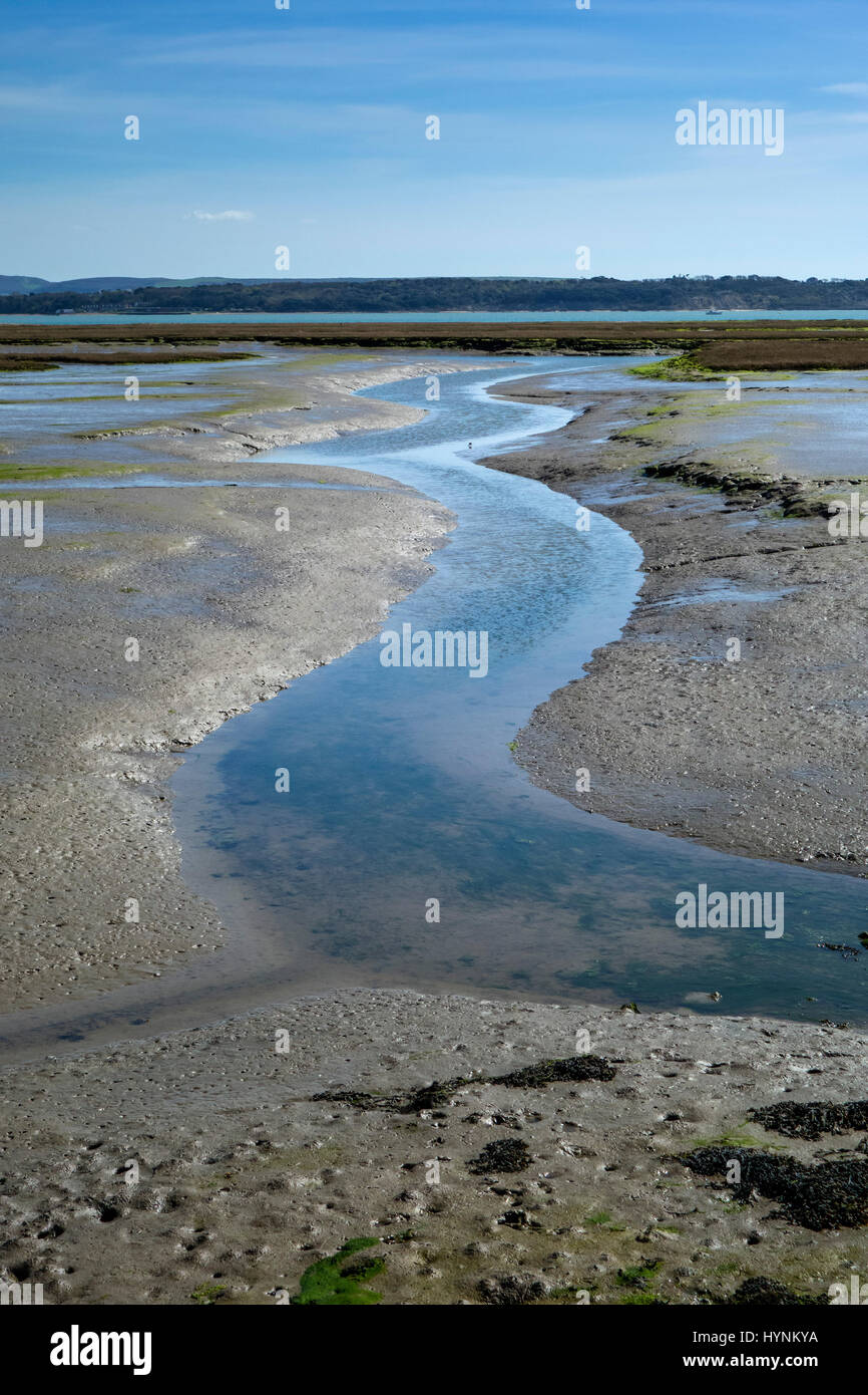 Un suggestivo canale di acqua nelle velme a Keyhaven Harbour con la marea, portando al Solent e Isola di Wight. Foto Stock