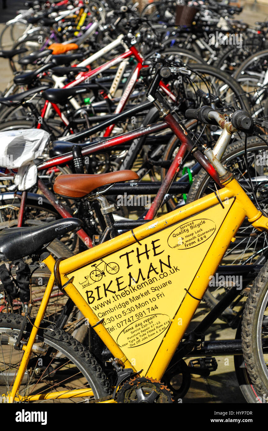 Parcheggio biciclette in Inghilterra Cambridge Regno Unito Foto Stock