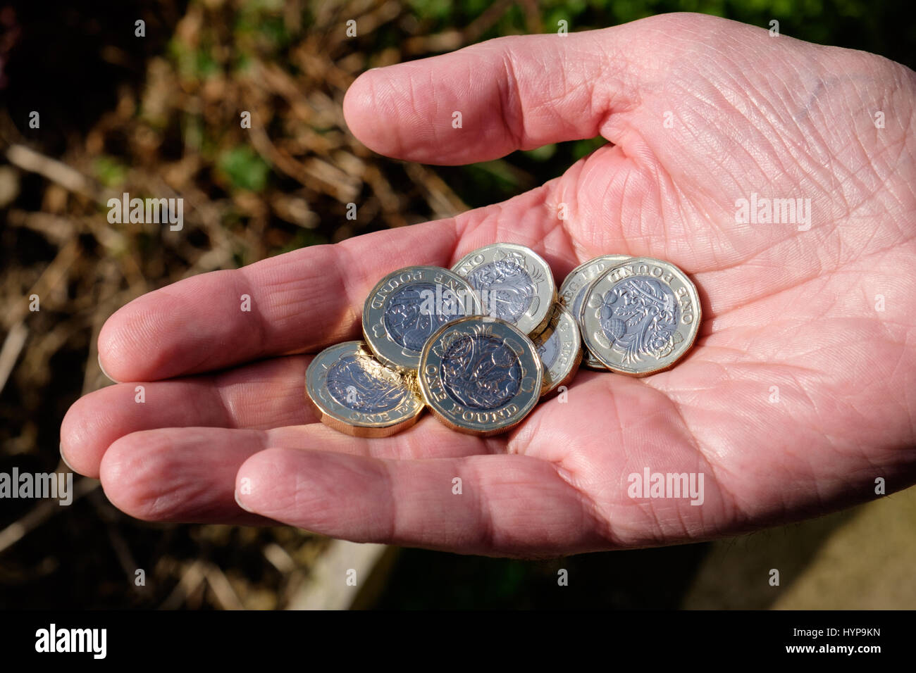 Pound monete in mano Foto Stock