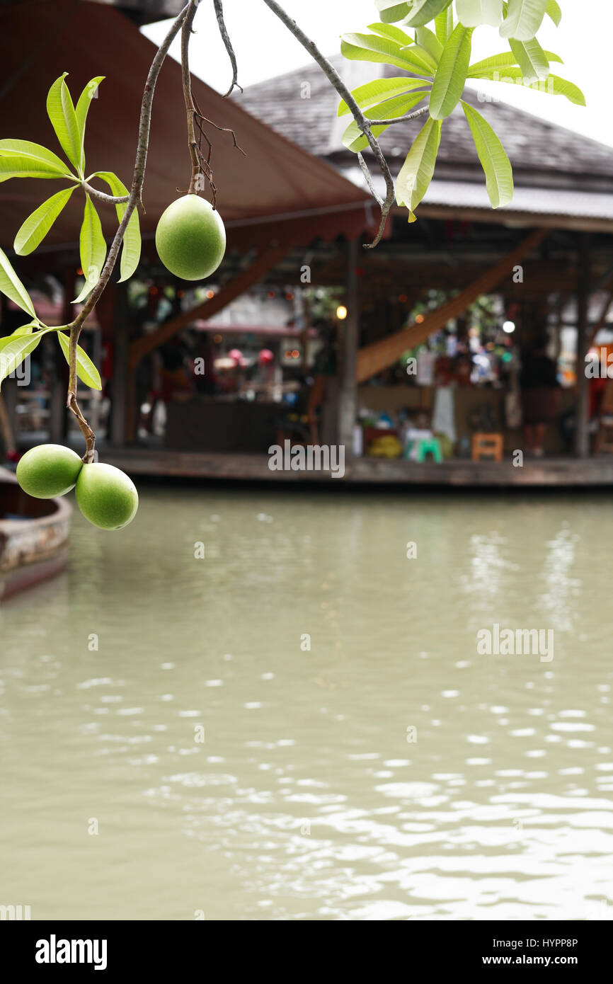 Pattaya, Tailandia - 26 Febbraio 2017: tradizione asiatica di mercato galleggiante in thai Foto Stock