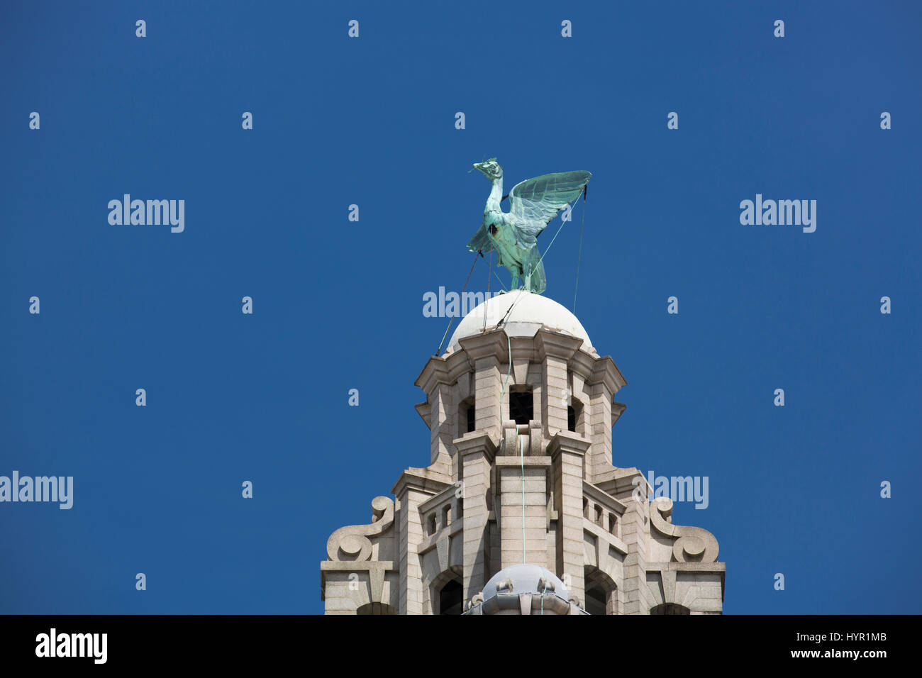 Royal Liver Building di nuovo cielo blu durante il giorno - liverpool, Regno Unito - 24 giugno 2014 Foto Stock