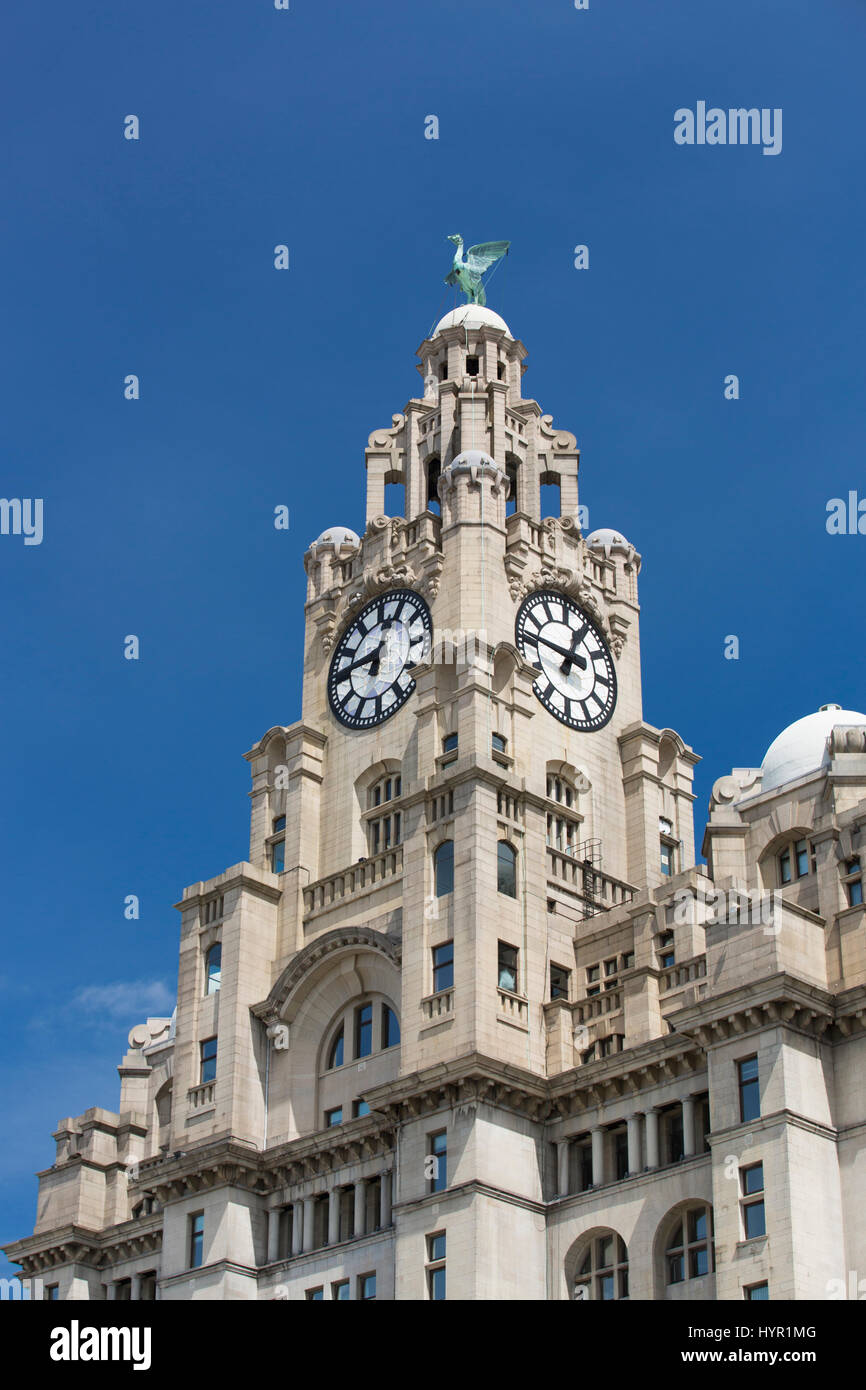 Royal Liver Building di nuovo cielo blu durante il giorno - liverpool, Regno Unito - 24 giugno 2014 Foto Stock