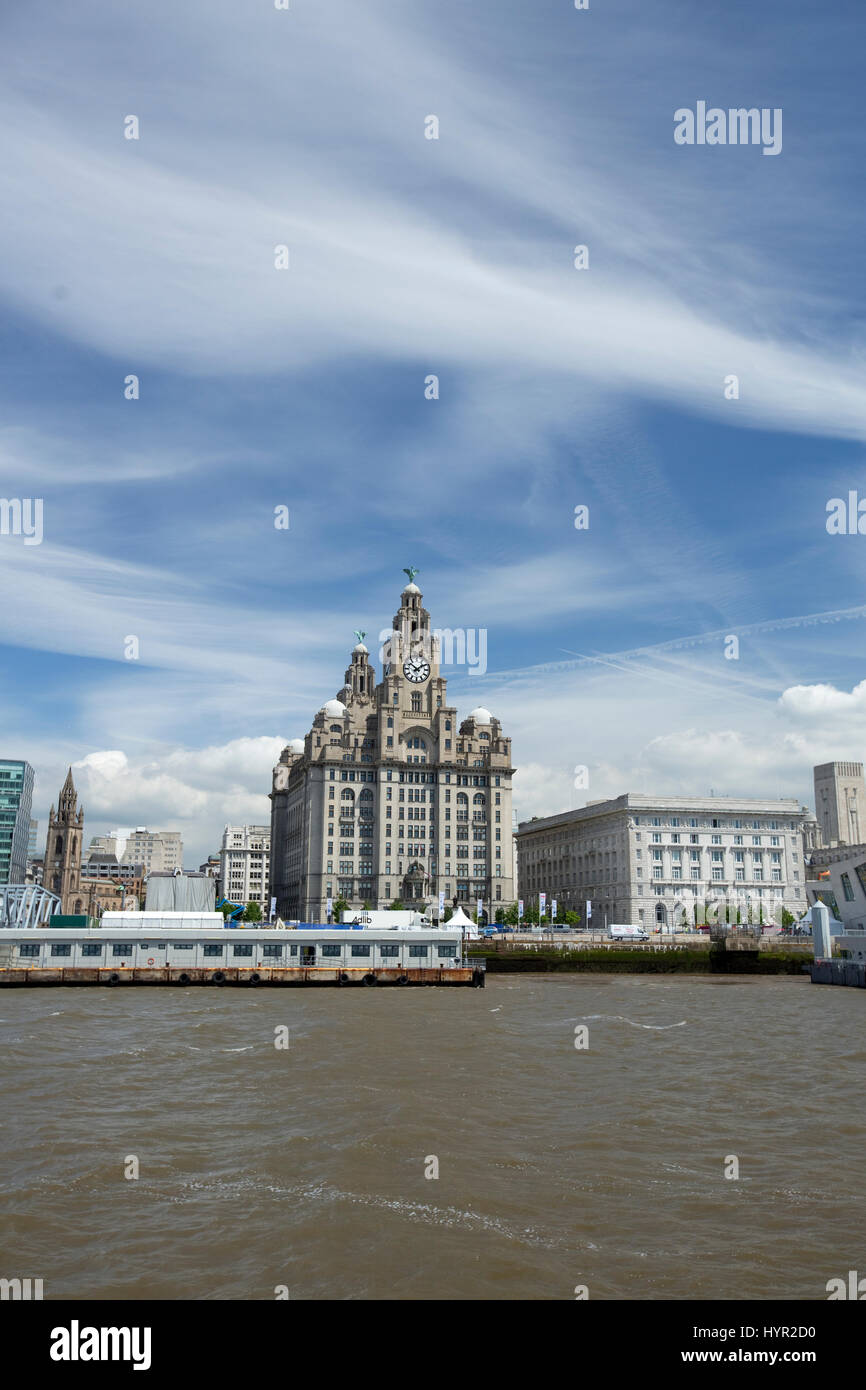 Royal Liver Building di nuovo cielo blu durante il giorno - liverpool, Regno Unito Foto Stock