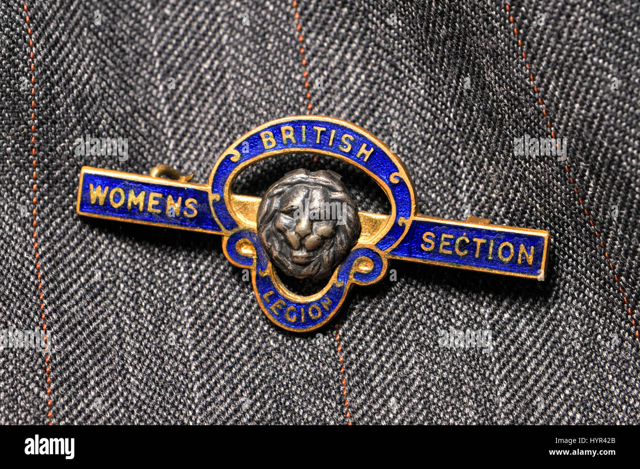 British Legion donna sezione badge - la Carità aiutando ex service gli uomini e le donne e i loro familiari a carico Foto Stock