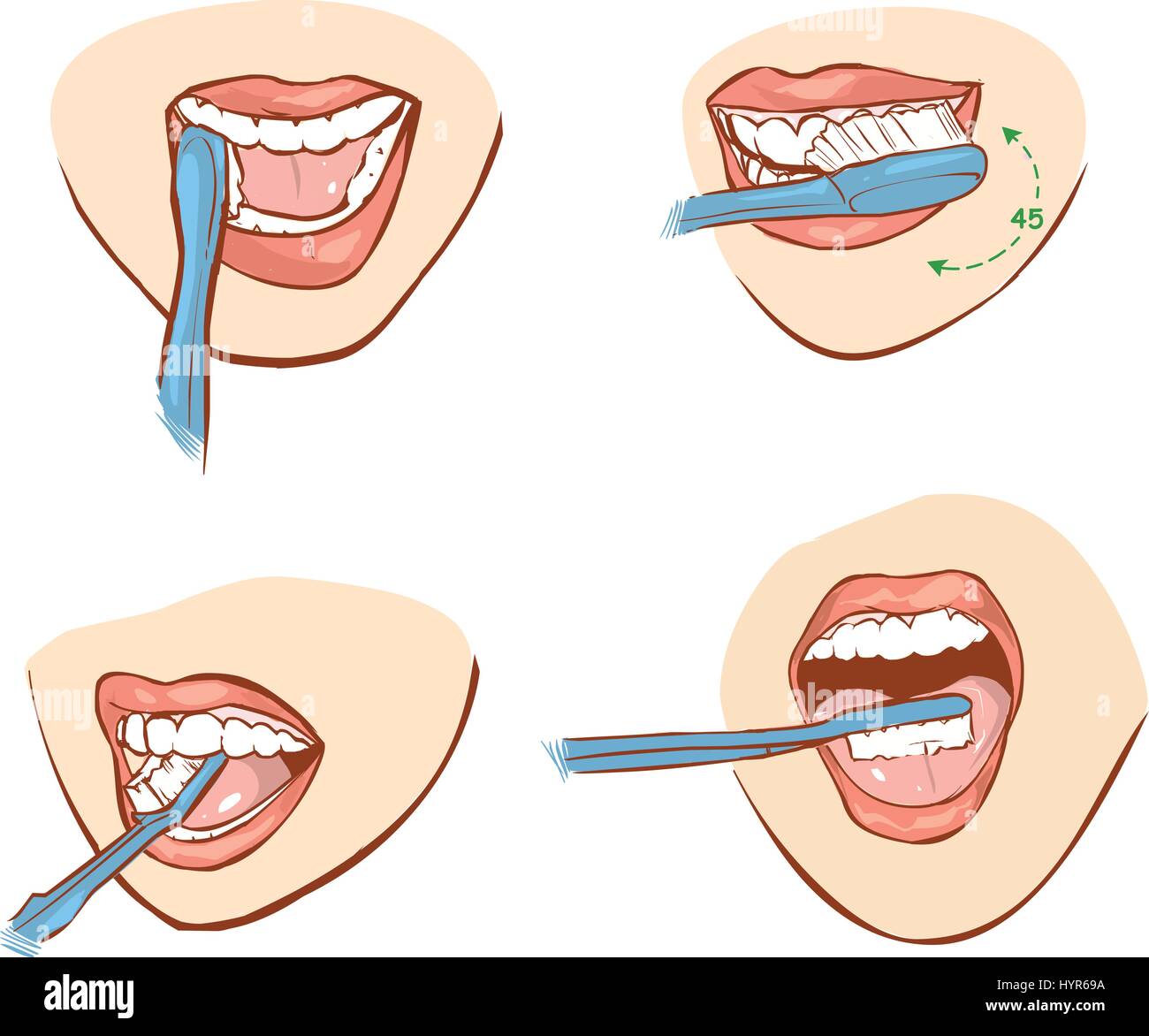 White backround illustrazione vettoriale di una pulizia dei denti Illustrazione Vettoriale