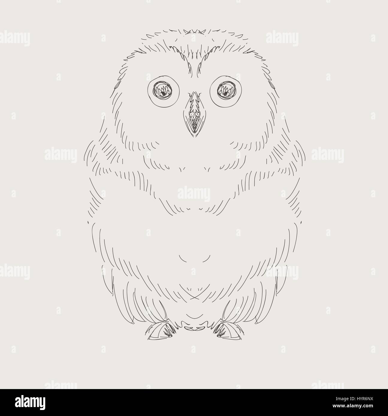 Disegnato a mano disegno vettoriale gufo decorativo illustrazione Illustrazione Vettoriale