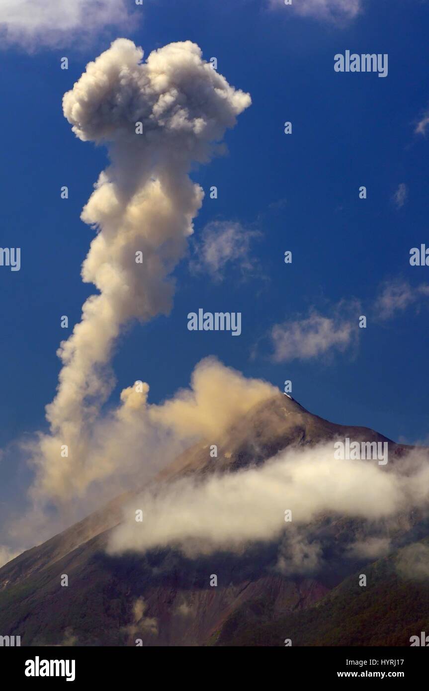 Guatemala, Volcan de Fuego, attivi Stratovulcano Foto Stock