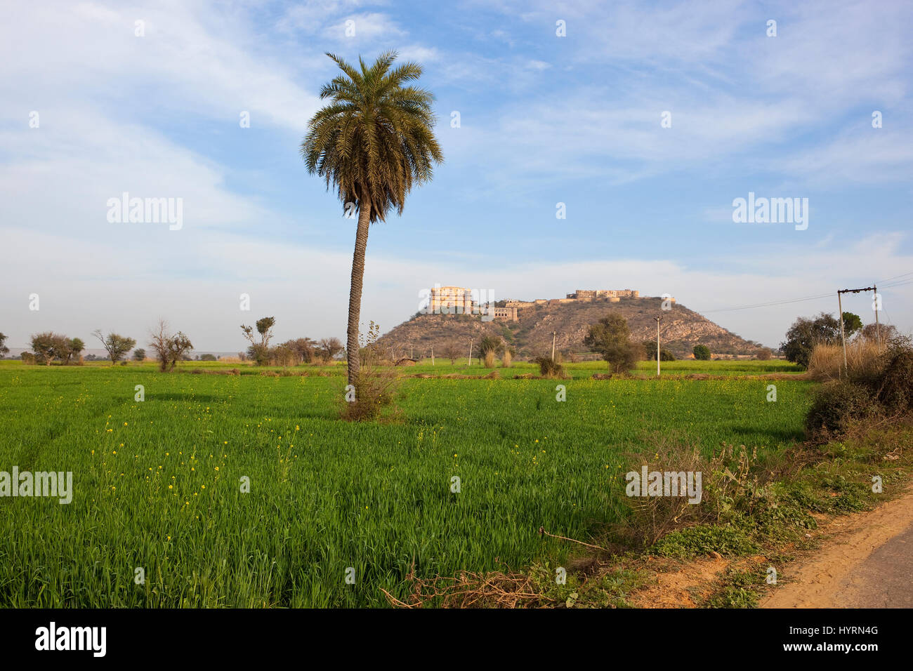 Tijara fort hotel in Rajasthan india circondato da grano e campi di senape in un paesaggio agricolo al di sotto di un blu cielo nuvoloso Foto Stock