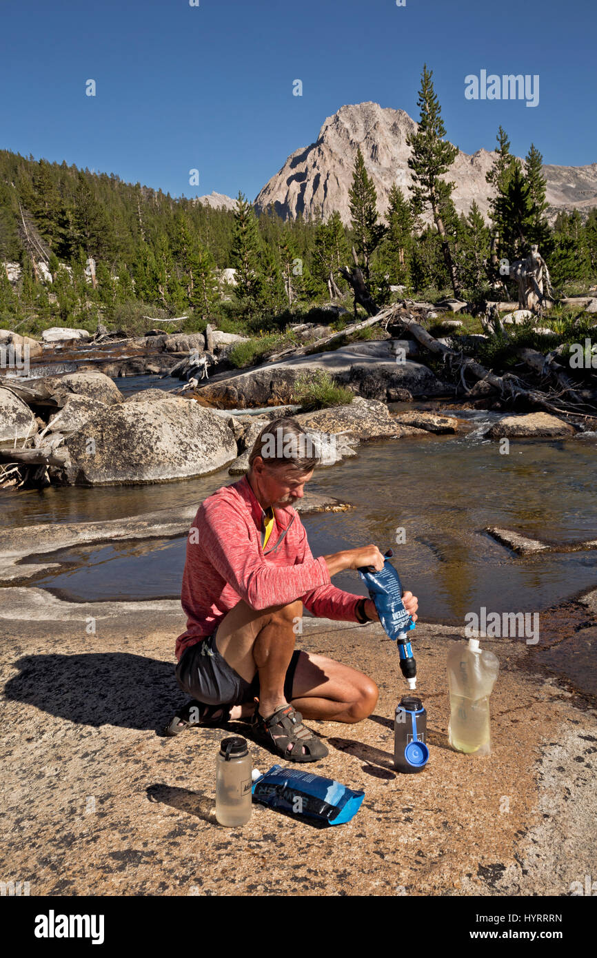 CA03201-00...CALIFORNIA - Backpacker filtrare acqua da Budds Creek lungo il combinato PCT/JMT in Kings Canyon National Park. Foto Stock