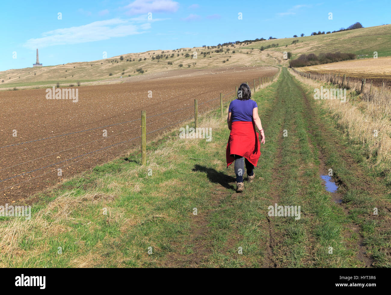 Donna che cammina sul sentiero verso il Monumento di Lansdowne, Cherhill Downs, Wiltshire, Inghilterra, Regno Unito Foto Stock