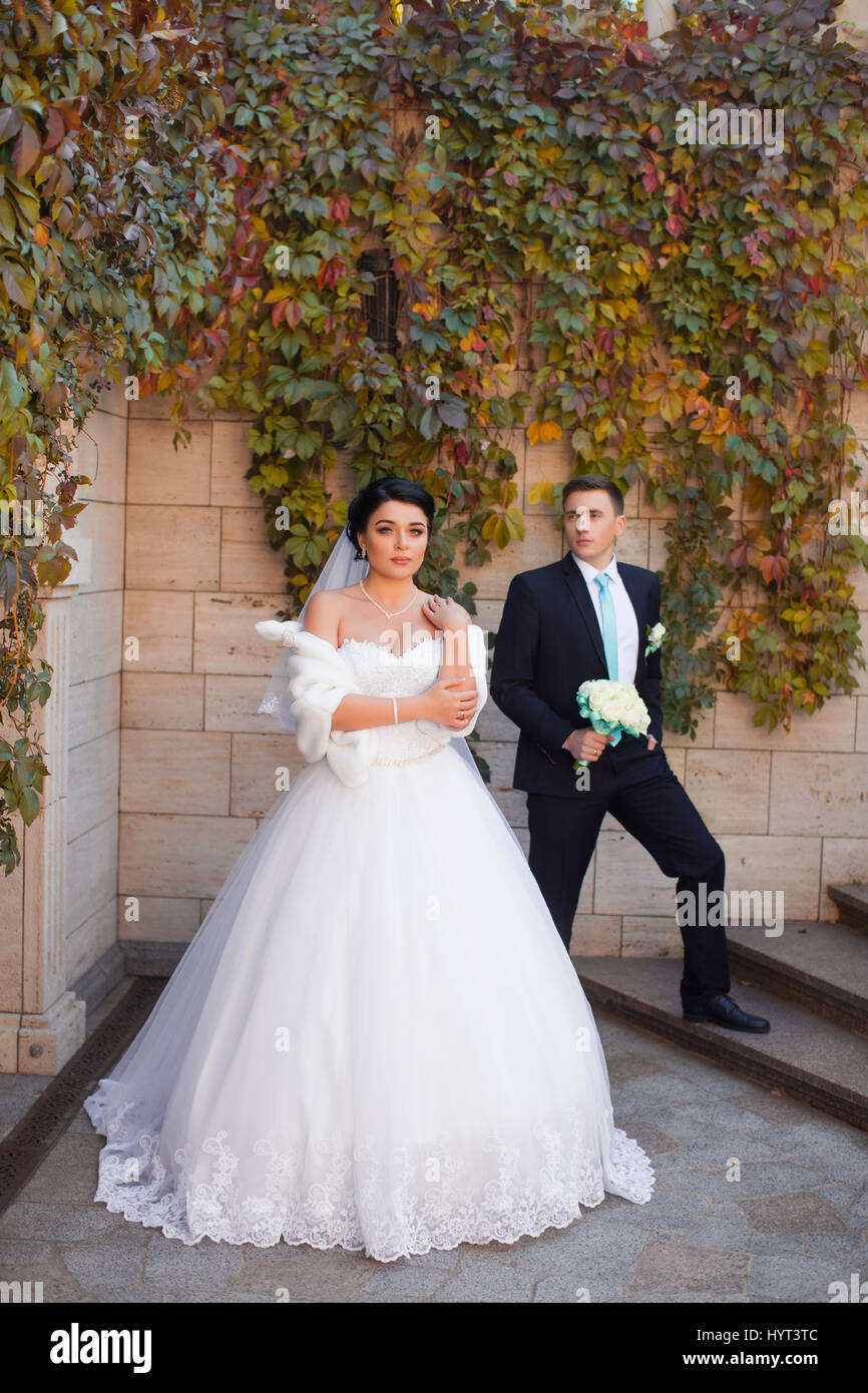 Elegante sposi in posa sul servizio fotografico Foto Stock