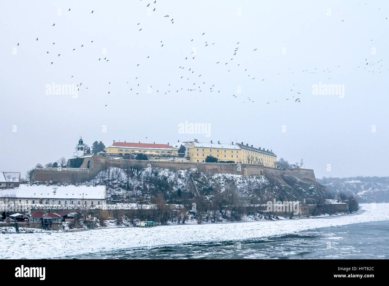 Fortezza di Petrovaradin a Novi Sad Serbia, in inverno Novi Sad fortezza con congelati Danubio nella parte anteriore e di un gruppo di volatili passando da Foto Stock