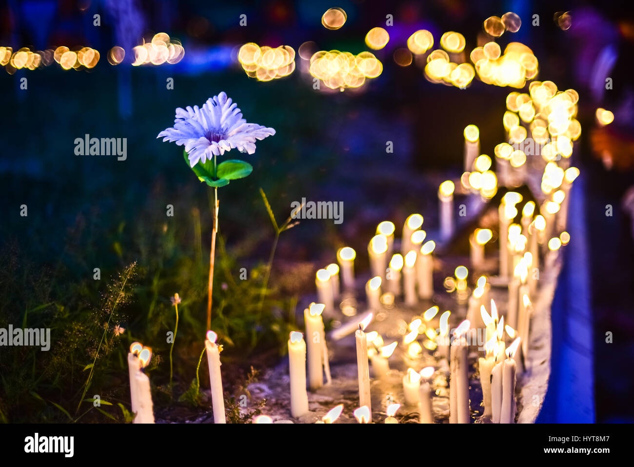 Un fiore e righe di candele durante la settimana santa celebrazione. Foto Stock