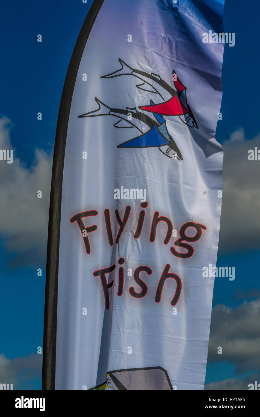 Minchinhampton serate dei Kite; Aprile 2017 Foto Stock