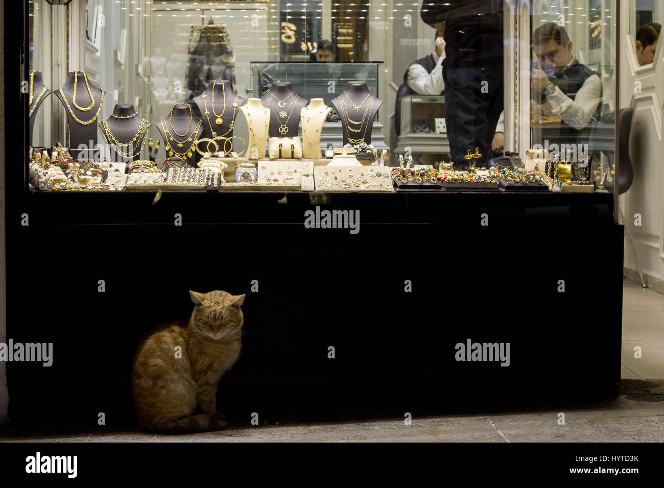 ISTANBUL, Turchia - 28 dicembre 2015: Zenzero cat davanti ad un negozio di Gioielleria in il Grand Bazaar e la foto di un gatto di zenzero di fronte al Grand Bazaar Foto Stock