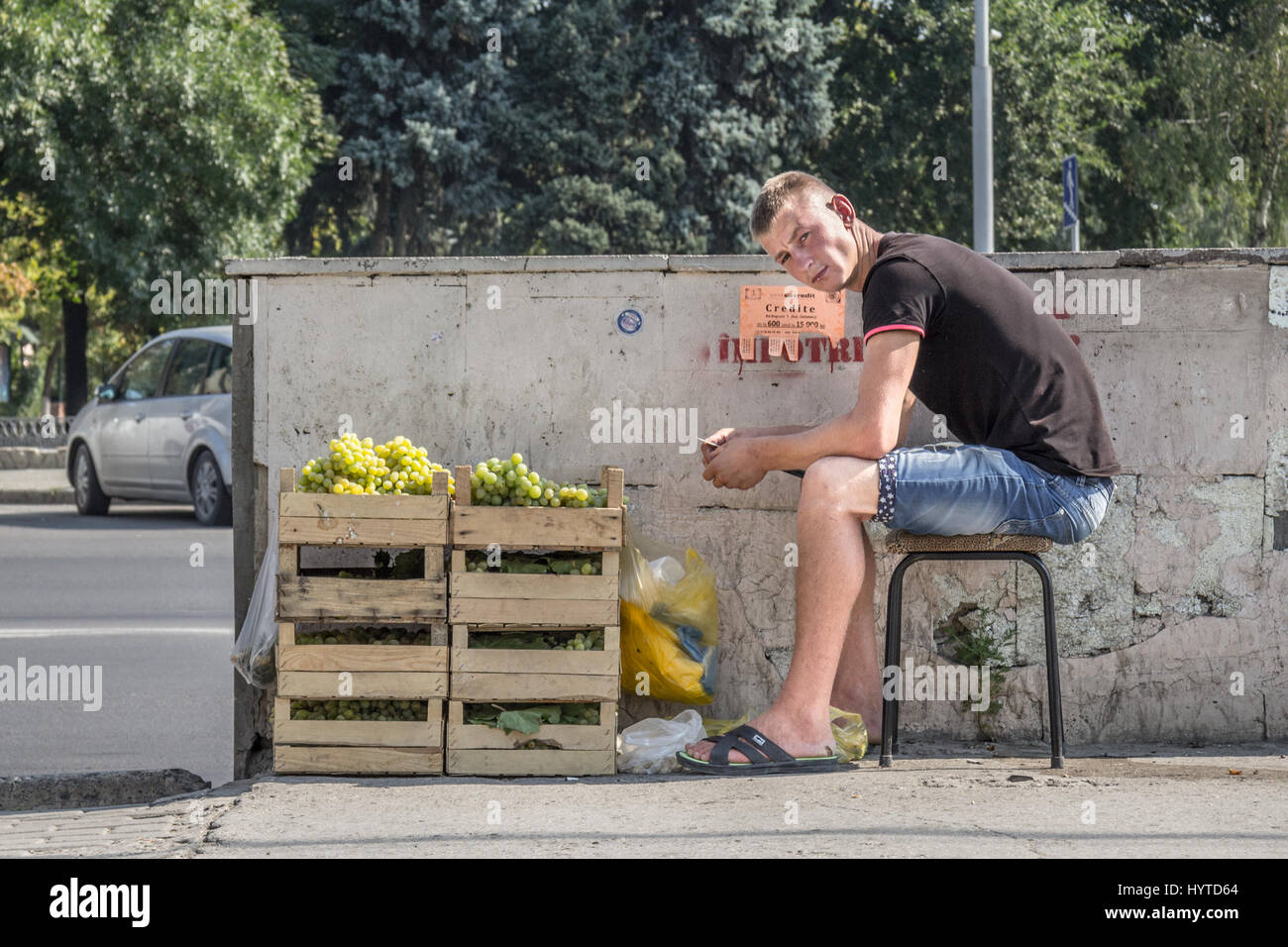 CHISINAU in Moldova - Agosto 11, 2015: giovane uomo seduto su uno sgabello vendita di uve in città capitale della Moldavia. Uva, e i frutti più in generale sono Foto Stock