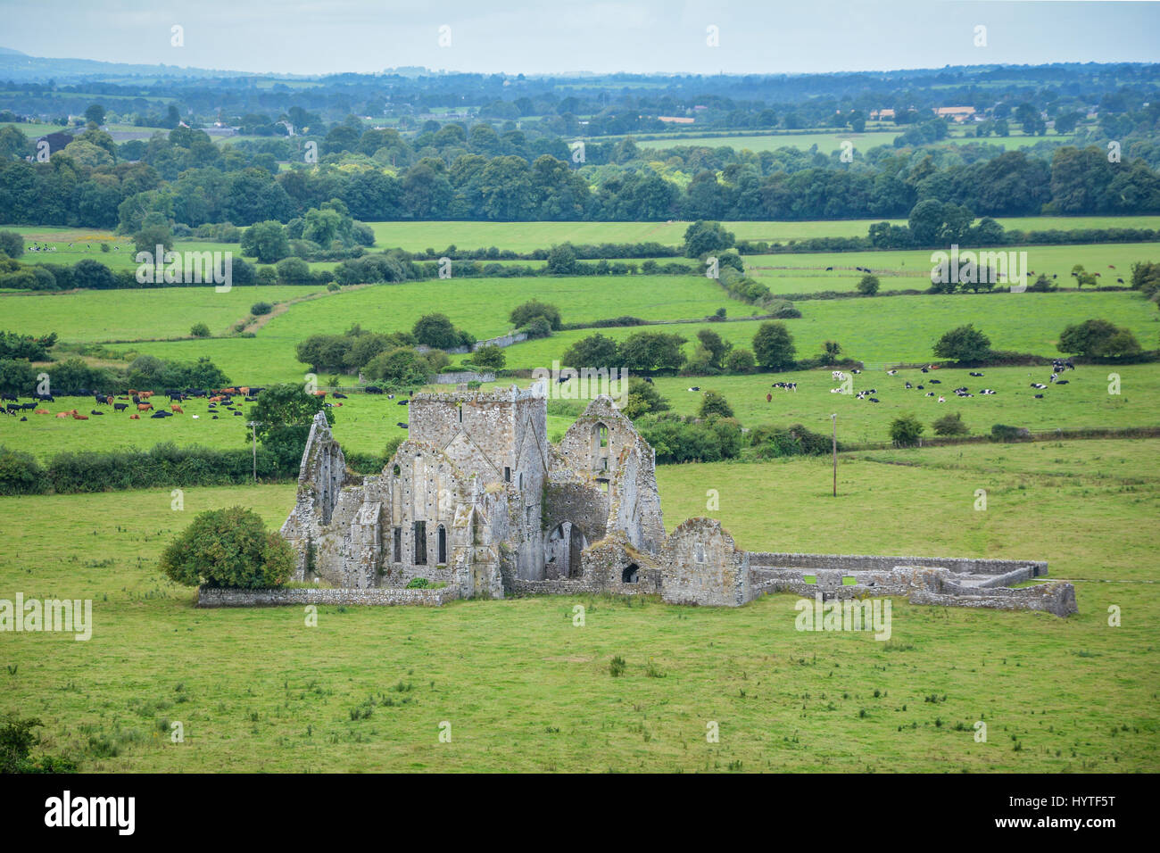 Hore Abbey, rovinato monastero cistercense nei pressi della Rocca di Cashel, nella contea di Tipperary, Irlanda Foto Stock