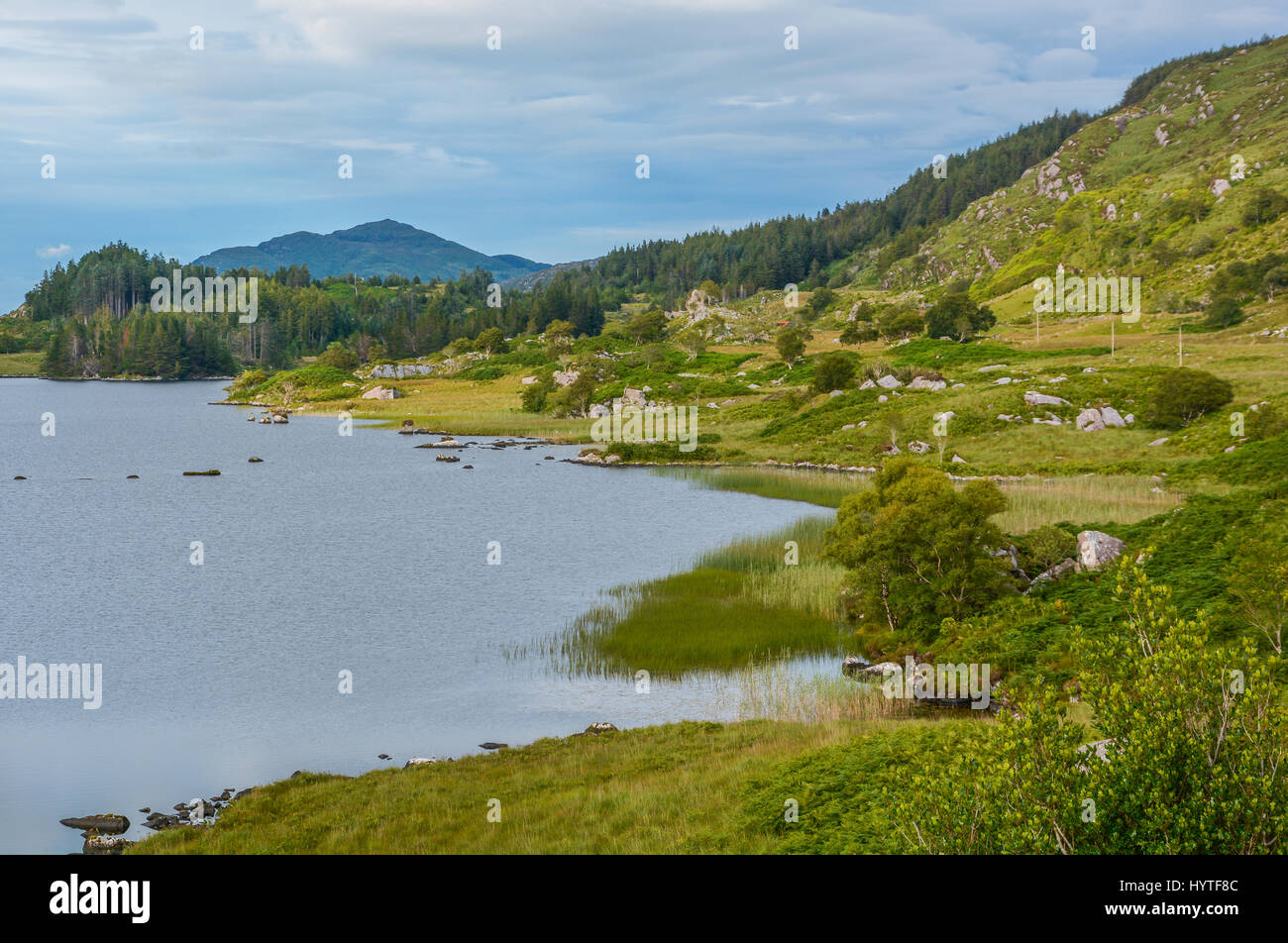 Idillica vista lungo il Ring of Kerry, Irlanda Foto Stock