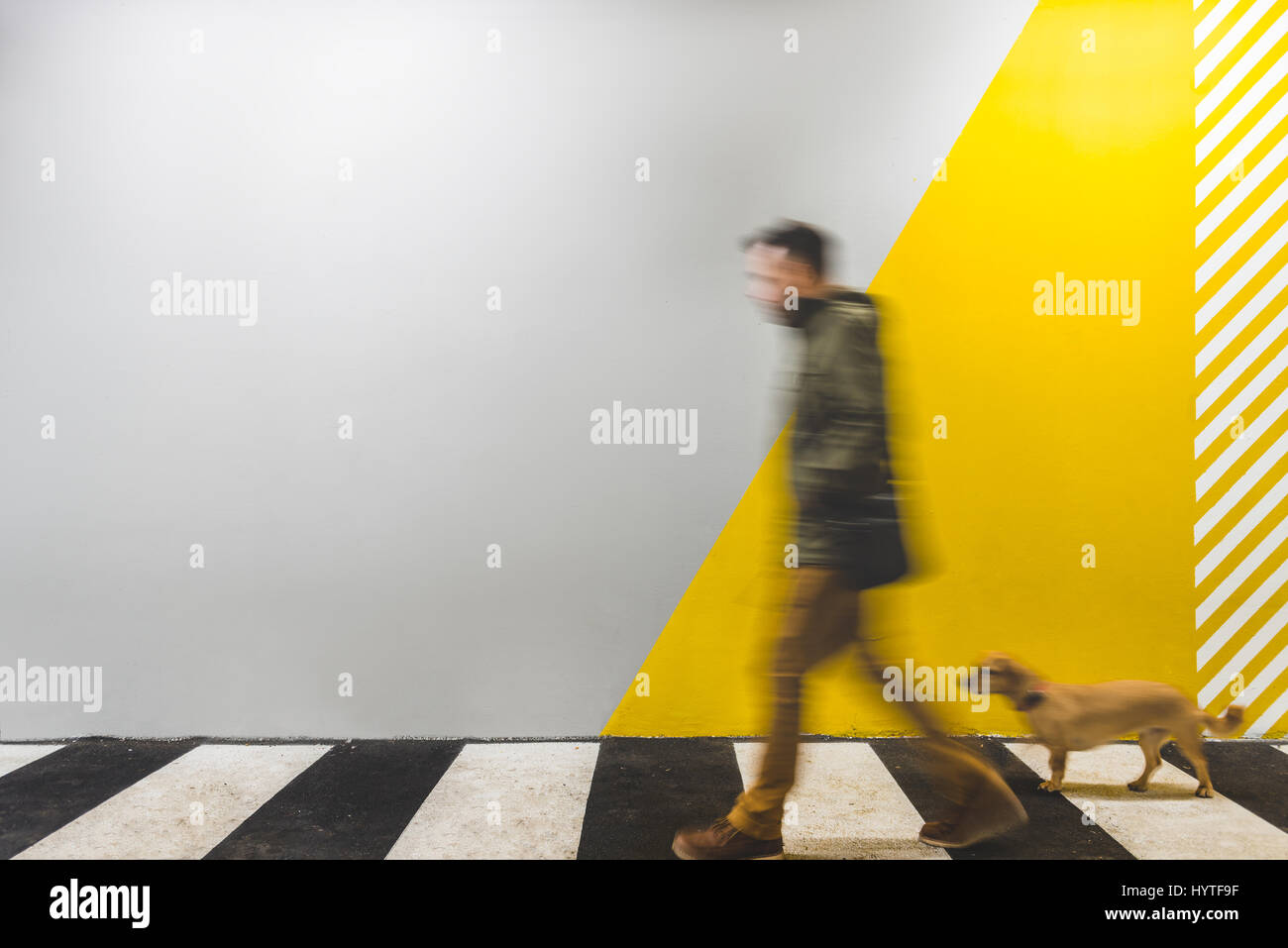 Uomo con un piccolo cane giallo camminando sul passaggio sotterraneo contrassegnare con strisce pedonali Foto Stock