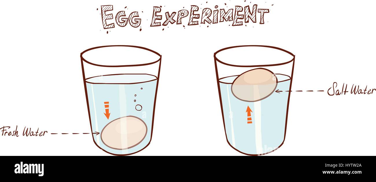 Flottante delle uova in un bicchiere di acqua (lavandino o di flottazione la freschezza delle uova prova) Illustrazione Vettoriale