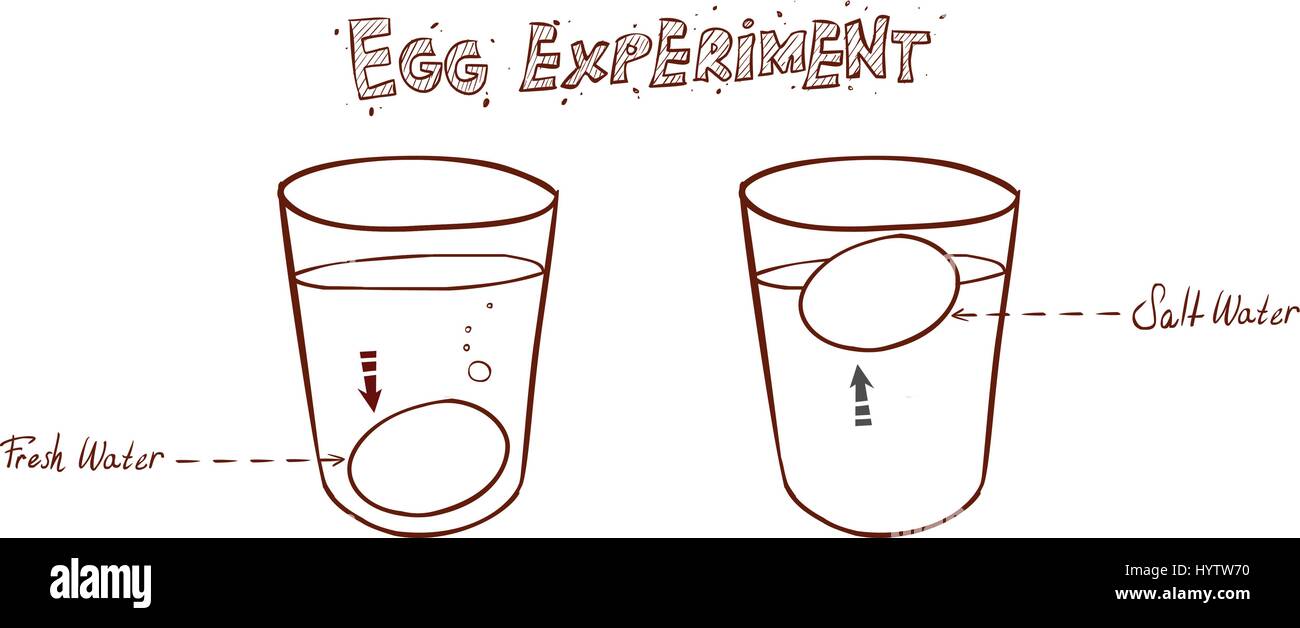 Flottante delle uova in un bicchiere di acqua (lavandino o di flottazione la freschezza delle uova prova) Illustrazione Vettoriale