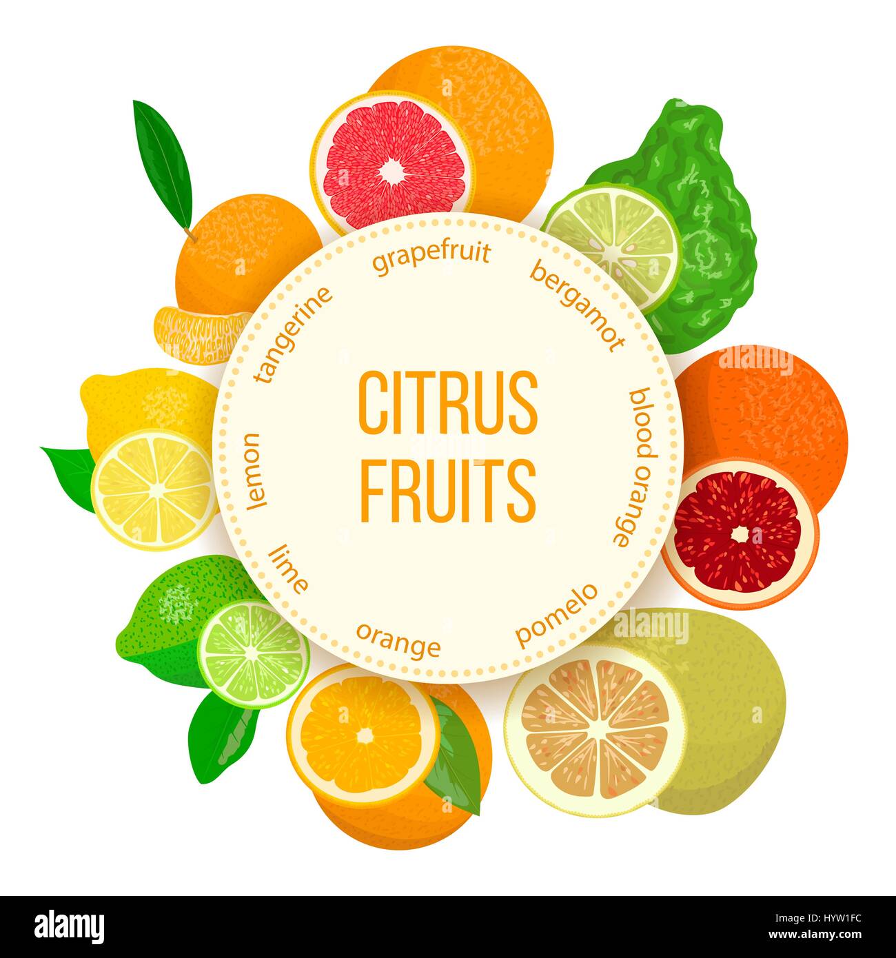 Agrumi set realistico con stemma rotondo. Il bergamotto, limone e pompelmo, lime, mandarino, pomelo, Arancio sanguigno con fette. Per i prodotti cosmetici, mercato, h Illustrazione Vettoriale