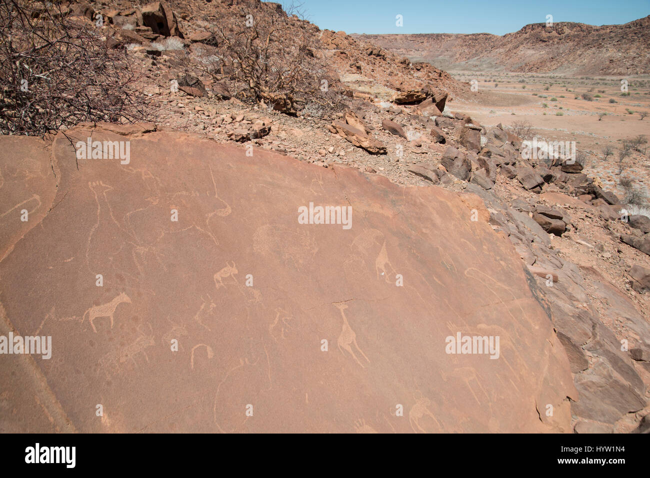 Preistoria le incisioni rupestri, Twyfelfontein, Damaraland, Namibia. Foto Stock