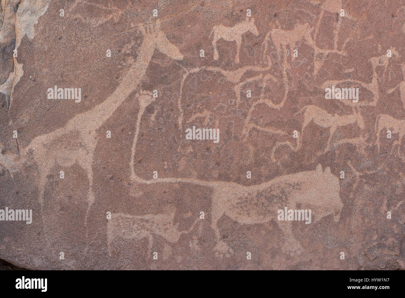 Preistoria le incisioni rupestri, Twyfelfontein, Damaraland, Namibia. Foto Stock