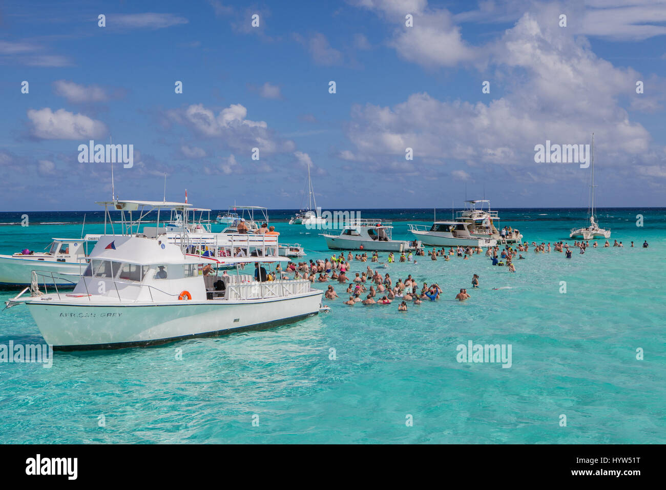 Turisti si riuniscono atStingray città che è una serie di shallow scanni trovata nel nord Suono di Grand Cayman, Isole Cayman. Foto Stock