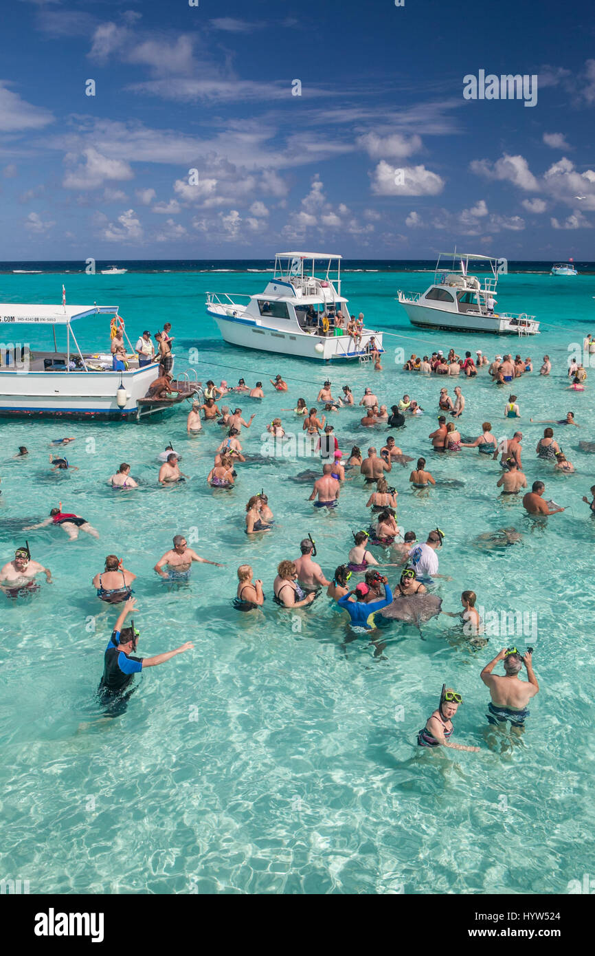 Turisti si riuniscono atStingray città che è una serie di shallow scanni trovata nel nord Suono di Grand Cayman, Isole Cayman. Foto Stock