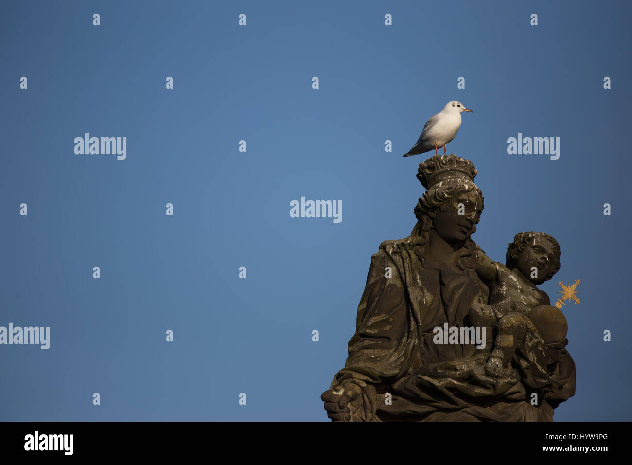 Gli uccelli in una statua sul Ponte Carlo a Praga Foto Stock