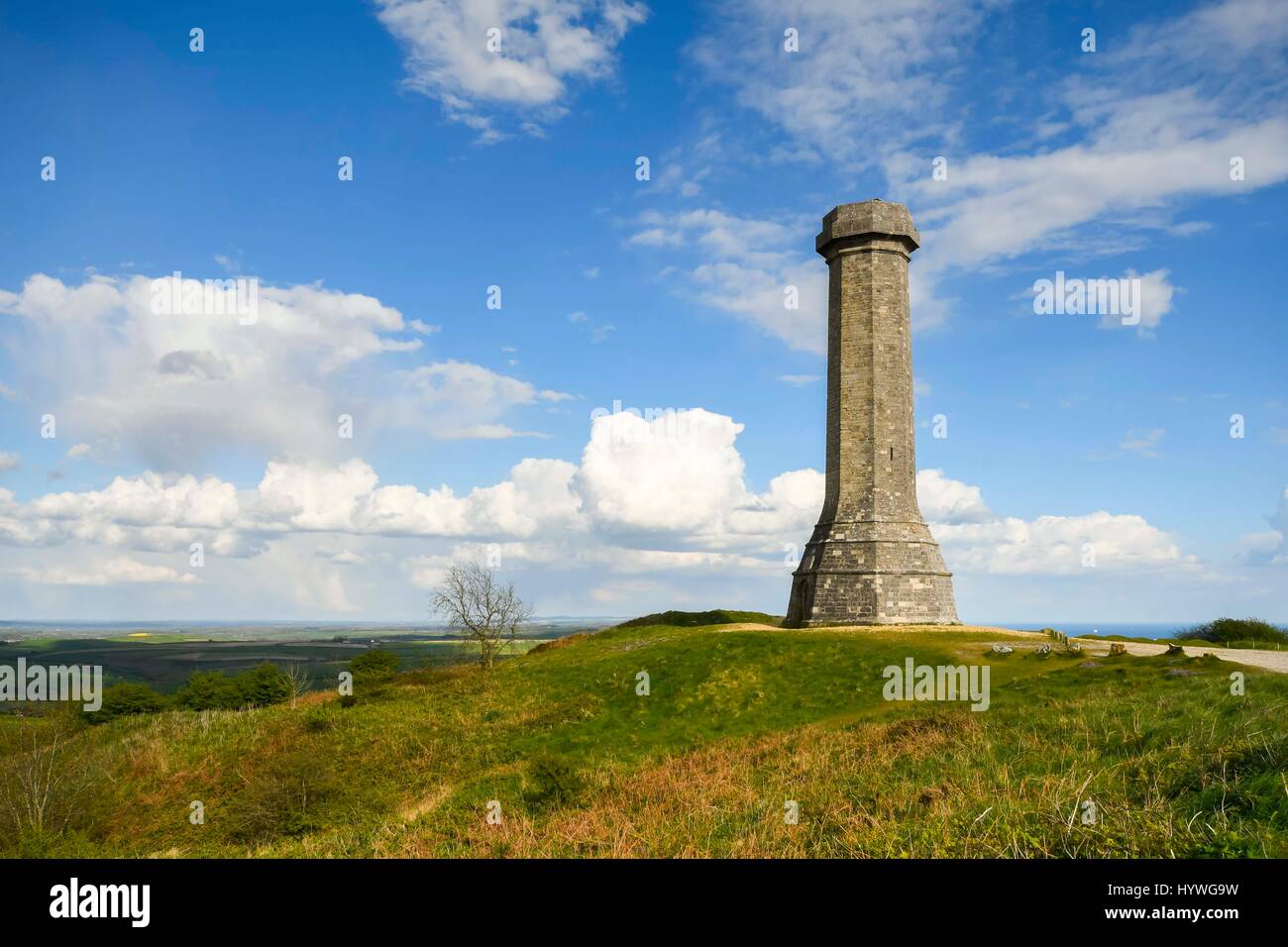 Portesham, Dorset, Regno Unito. Il 26 aprile 2017. Regno Unito Meteo. Sole a Hardy Monument vicino Portesham nel Dorset. Hardy's Monument comemorates vice ammiraglio sir Thomas Masterman Hardy che era Comandante di Bandiera sotto Nelson a bordo HMS Victory alla battaglia di Trafalgar. Hardy ha vissuto nel vicino villaggio di Portesham. Il monumento è di proprietà del National Trust. Photo credit: Graham Hunt/Alamy Live News Foto Stock