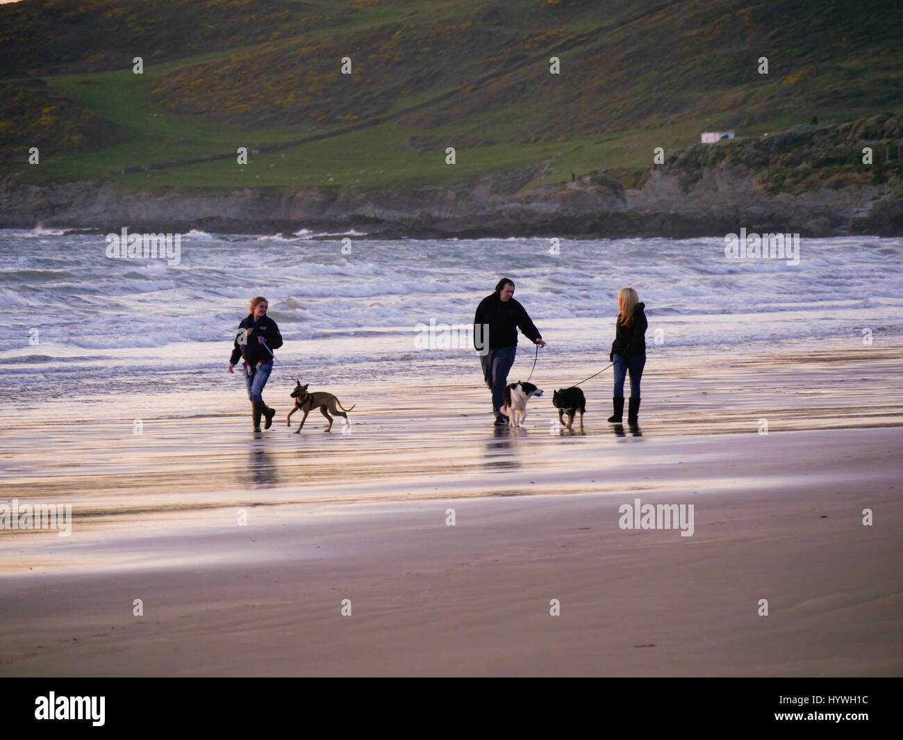 Woolacombe Beach, Devon, Regno Unito. Il 26 aprile 2017. Dog walkers fuori tenendo il bellissimo tramonto. Credito: DTNews/Alamy Live Foto Stock
