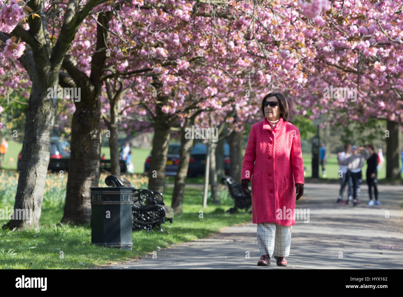 Greenwich, Londra, Regno Unito. 7 Aprile, 2017. Le persone hanno continuato a godere il sole e la fioritura dei ciliegi nel parco di Greenwich, Londra. Rob Powell/Alamy Live News Foto Stock