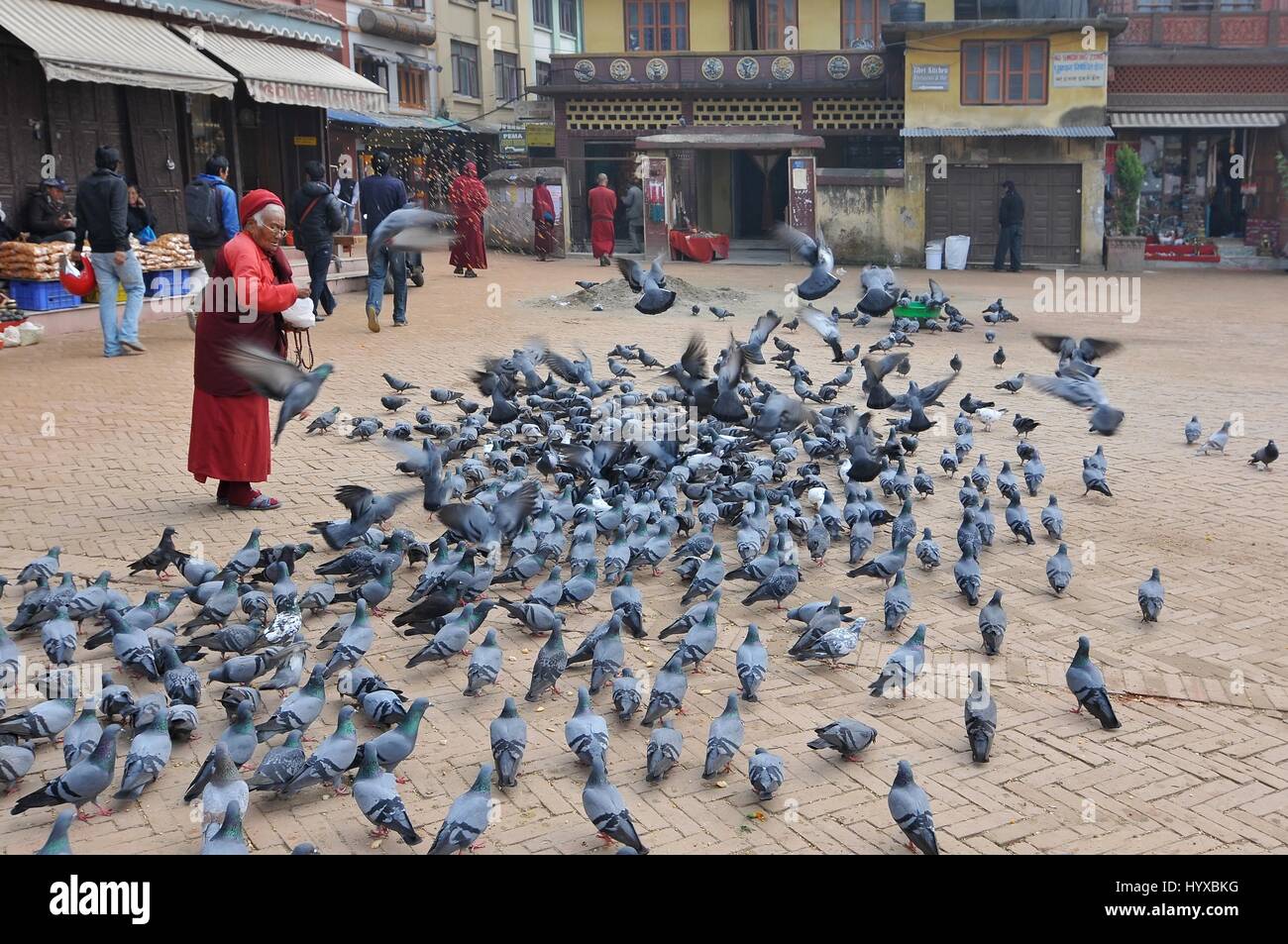 Il Nepal, Kathmandu, la vecchia Signora e i piccioni Foto Stock