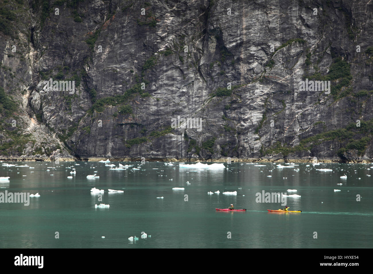 Nei pressi di una cesoia rockface, viaggiatori in kayak navigare l'acqua intorno iceberg. Foto Stock