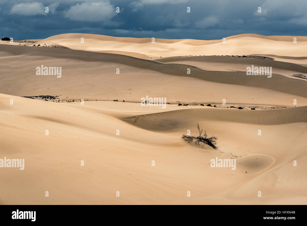 Reef Beach Dunes vicino a Bremer Bay in Australia Occidentale Foto Stock