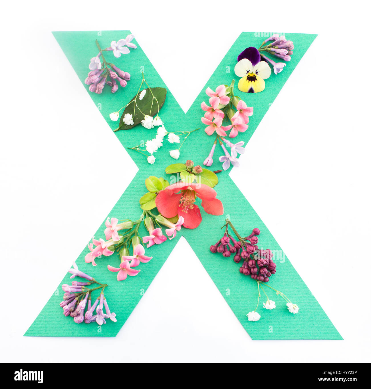 Lettera X fatta di fiori di primavera e la carta su sfondo bianco. Foto Stock