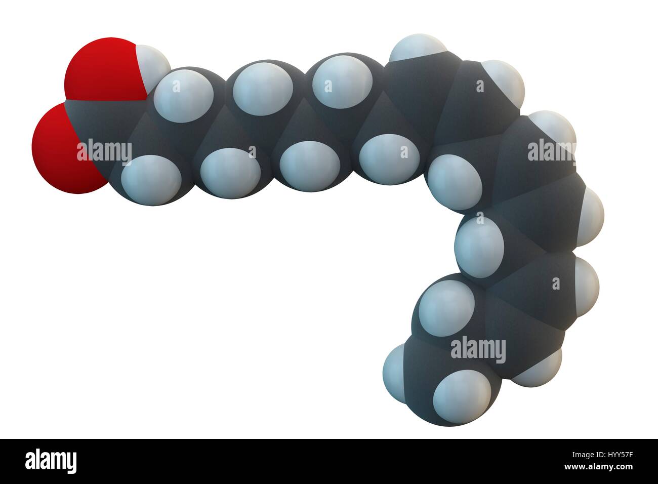 Acido alfa-linolenico (ALA) molecola. Polinsaturi essenziali di acido grasso omega-3, presente in molti olii vegetali. Formula chimica è C18H30O2. Gli atomi sono rappresentati come sfere: carbonio (grigio), Idrogeno (bianco), Ossigeno (rosso). Illustrazione. Foto Stock