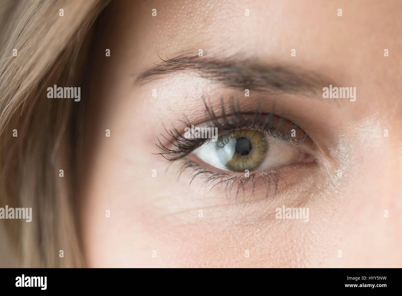 Close up della donna di occhio. Foto Stock