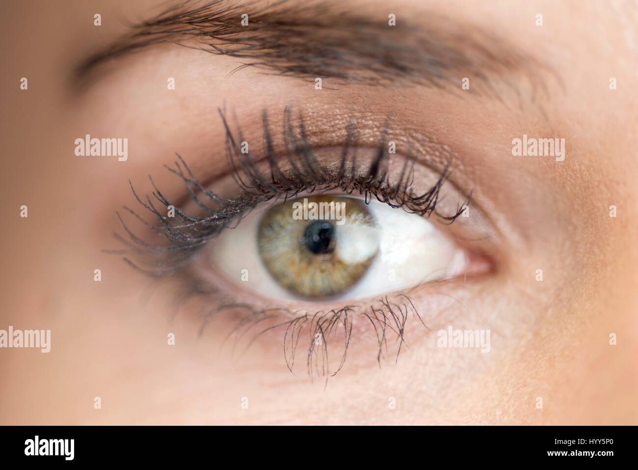 Close up della donna di occhio. Foto Stock