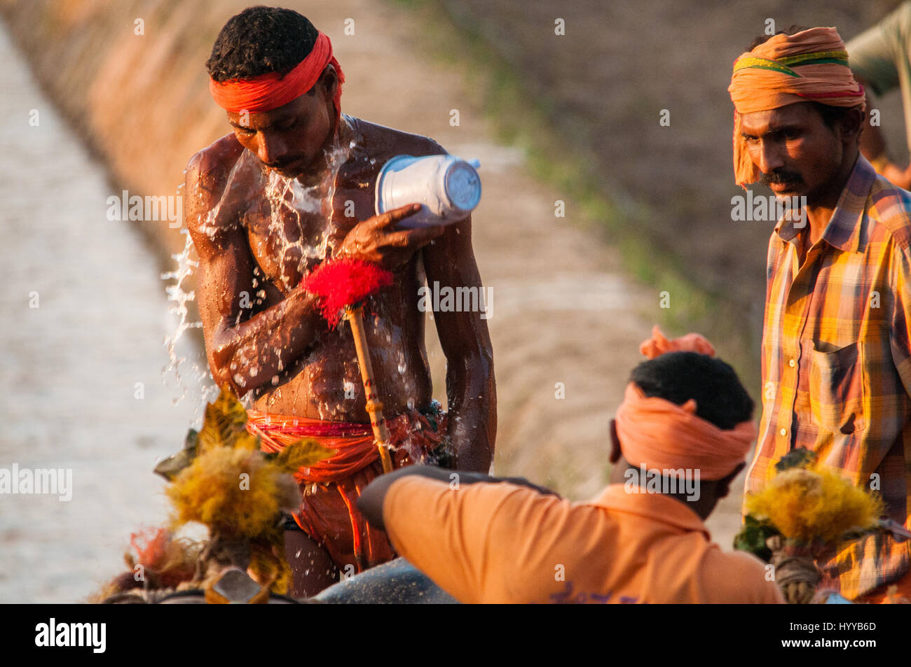 Il Karnataka, India: emozionanti scatti cattura un esilarante bull annuale festival in India mostrano la cultura del subcontinente al suo più ricche di azione. I capelli di innalzamento della serie di immagini mostrano i concorrenti presso il festival Kambala come velocità di essi attraverso il paddock fangoso dove desiderosi di spettatori hanno congregata per allietare la gara frequentatori. In altri scatti, i concorrenti sono visto arrivare intrisa da onde di mucky spray come essi corrono con loro i tori che sono riccamente decorato. Un'altra immagine mostra un agricoltore stesso dowse in secchi di acqua per rinfrescarsi dopo una gara difficile mentre un altro mostra un grou Foto Stock